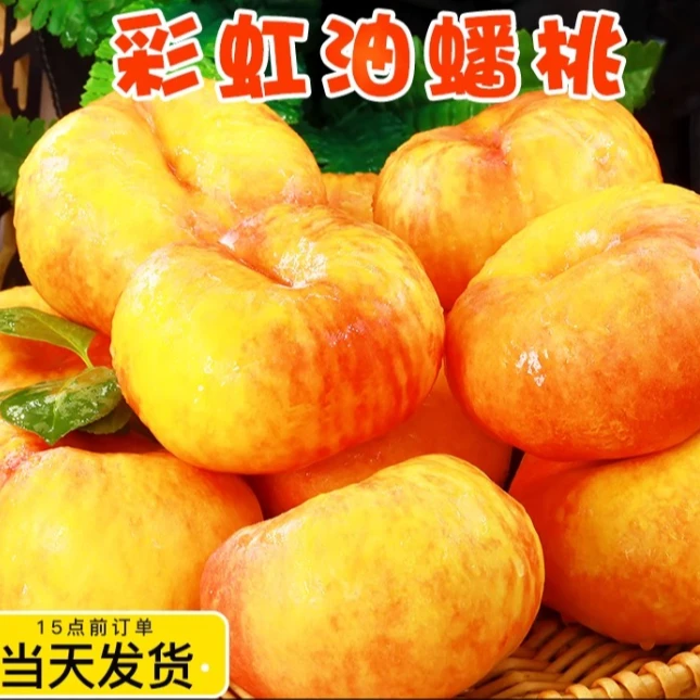 【今拍明到】蒙阴彩虹油蟠水果油蟠桃蜜甜口感多汁爆甜山东省当季新鲜水果桃子桃子同城送山东省