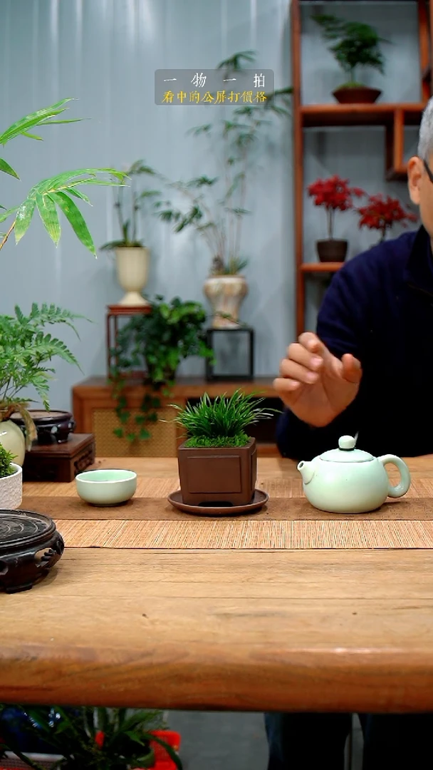 完全开放坚****利菖蒲378