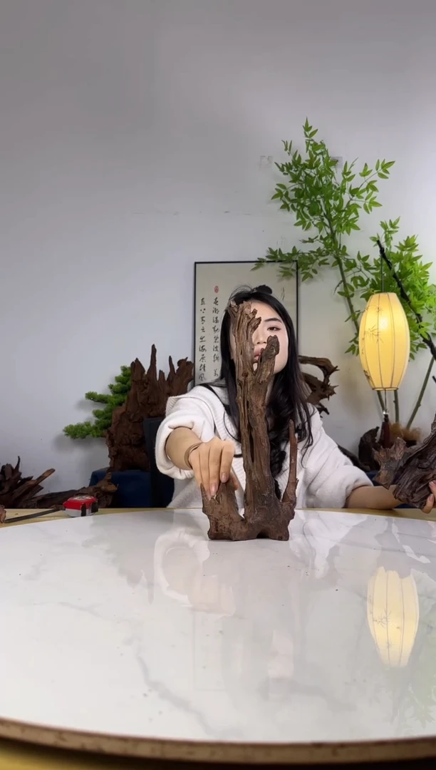 肥*?拍沉木定向链接编号55