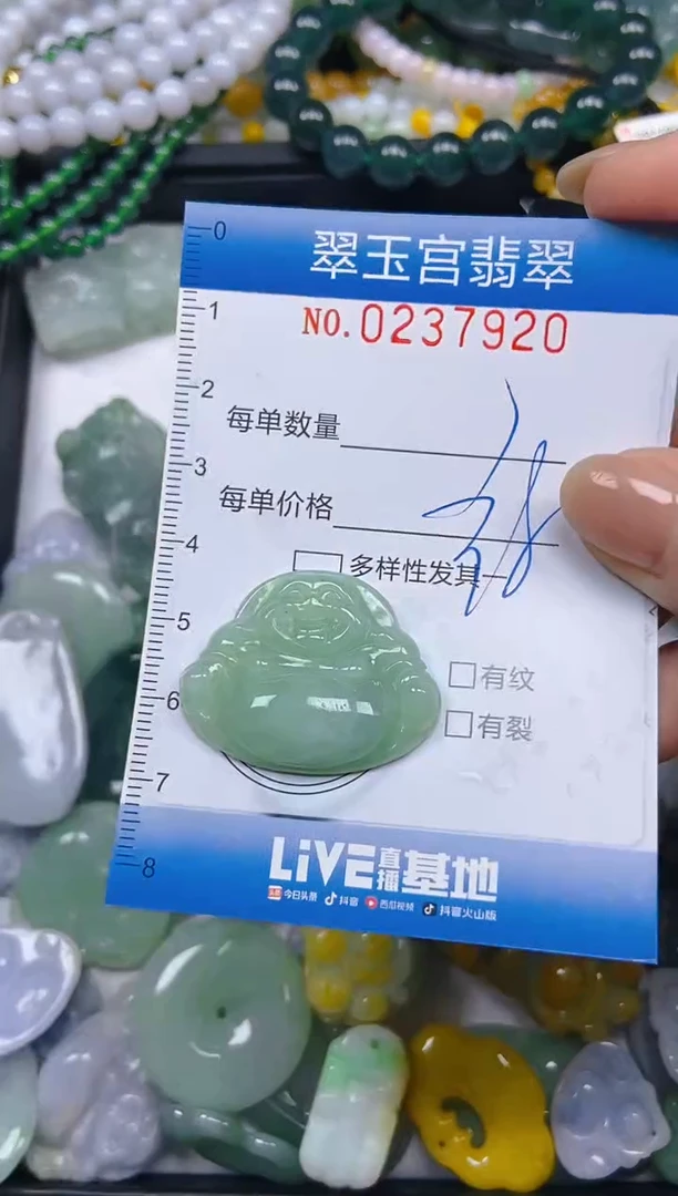 颈饰未镶嵌翡翠闪购C0237920