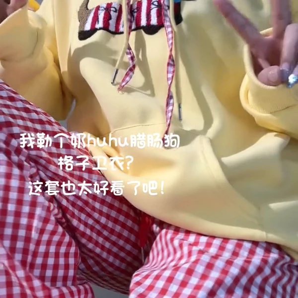 1068“小狗学院派”腊肠狗毛巾绣格子帽卫衣