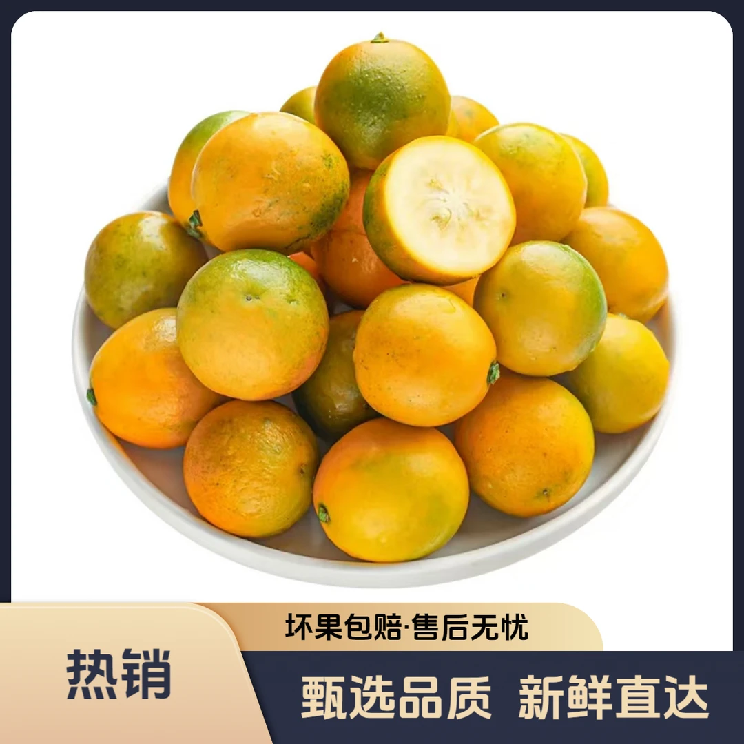 融安脆蜜金柑中果（500g）