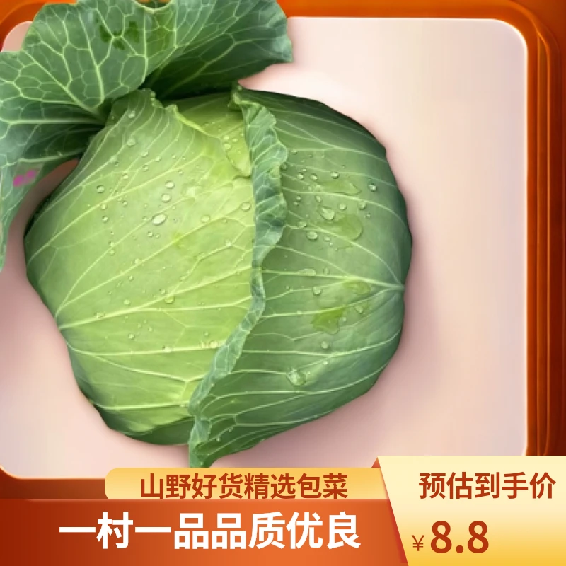 一村一品山野好货【精选-包菜】