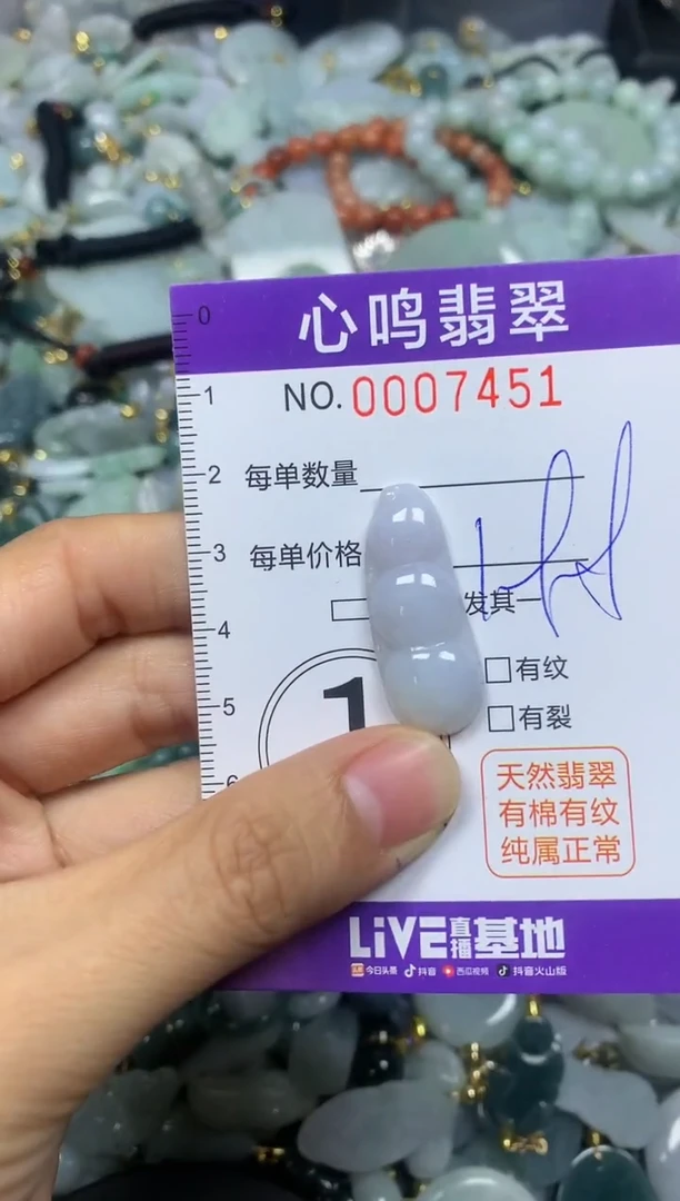 【闪购商品】翡翠颈饰未镶嵌闪购007451