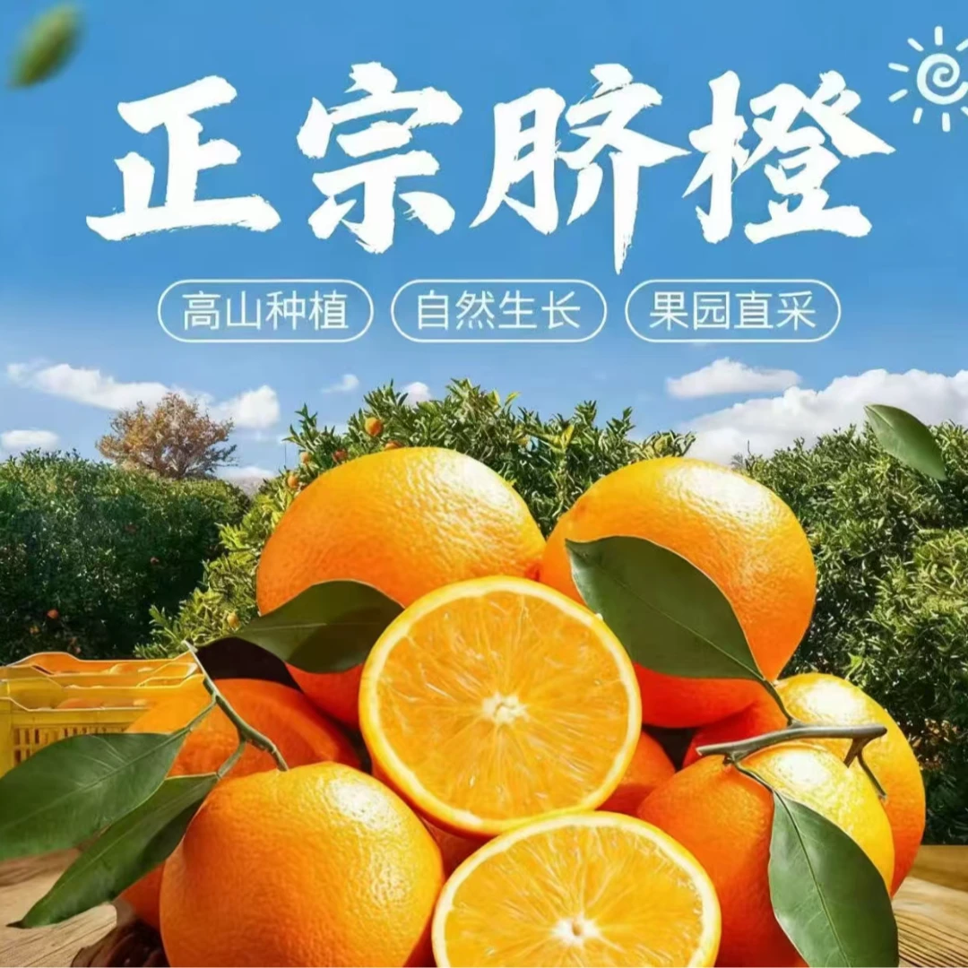 试吃三个现摘现发正宗脐橙橙子皮薄肉厚多汁当季新鲜采摘发货甜橙