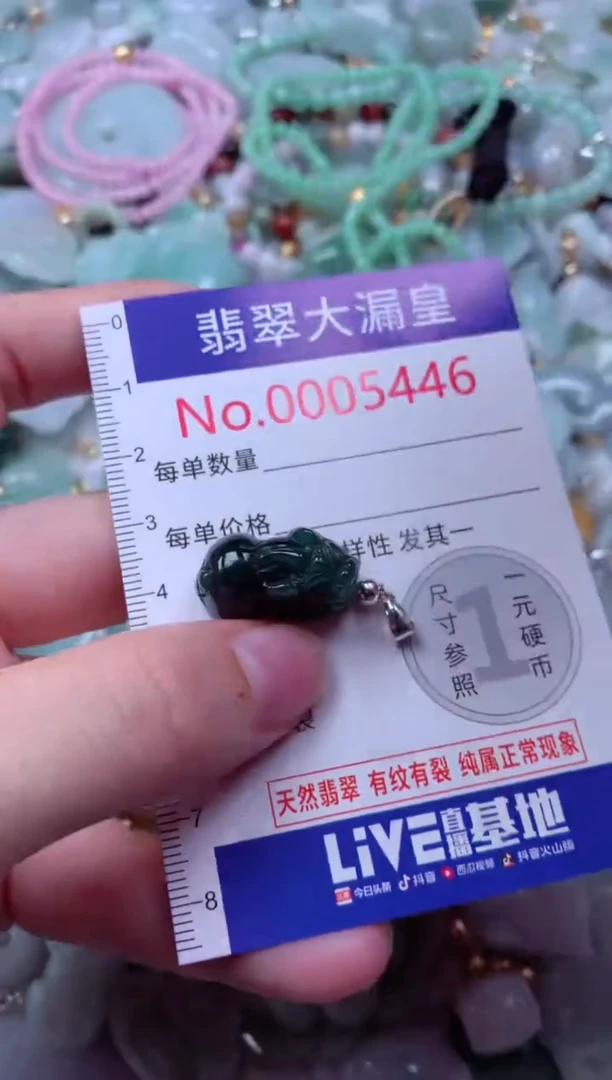 吊坠(不含链)未镶嵌翡翠5446