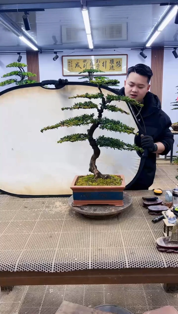 【闪购商品】000000000