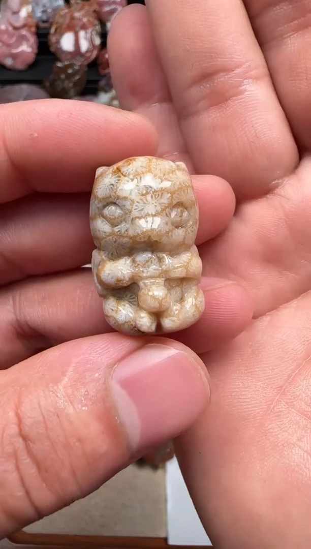 【闪购商品】硅化珊瑚（珊瑚玉）颈饰未镶嵌106