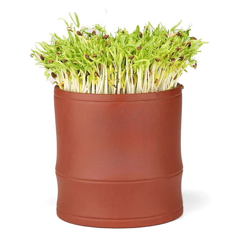 红泥中号竹节芽苗罐豆芽机自动发芽机家用实用方便