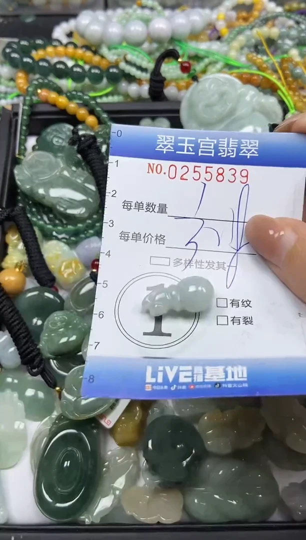 颈饰未镶嵌翡翠闪购C0255839