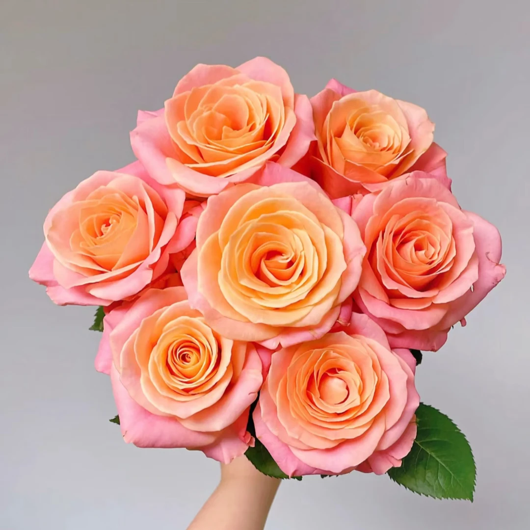 鲜花【猪小姐】同地址两单顺丰或京东送货上门