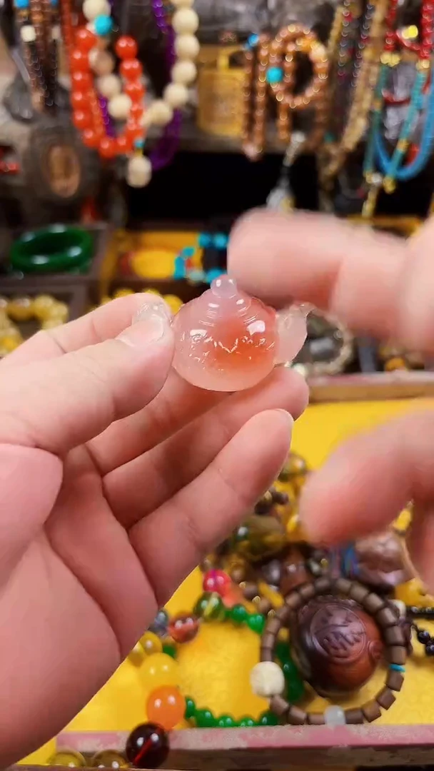 手串/手链贝壳--------------------