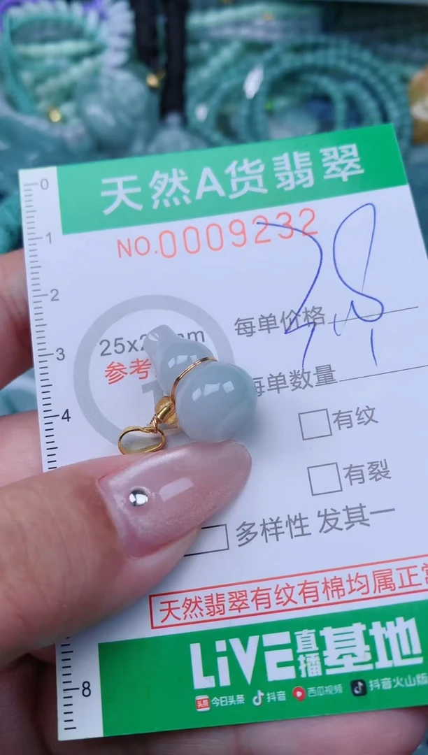 翡翠未镶嵌颈饰.0009232