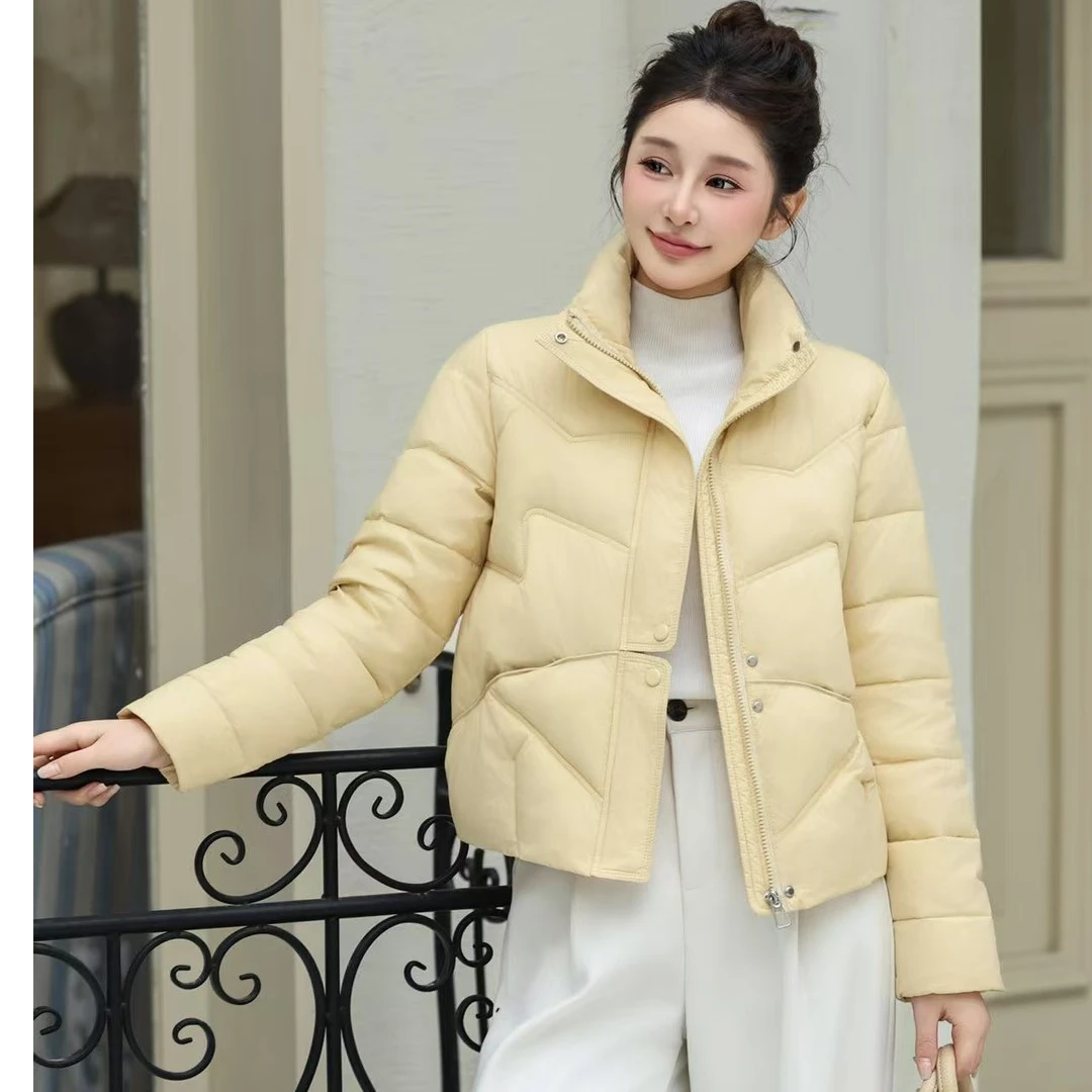 252973时尚短款棉衣亮色立领减龄女装棉服长度55