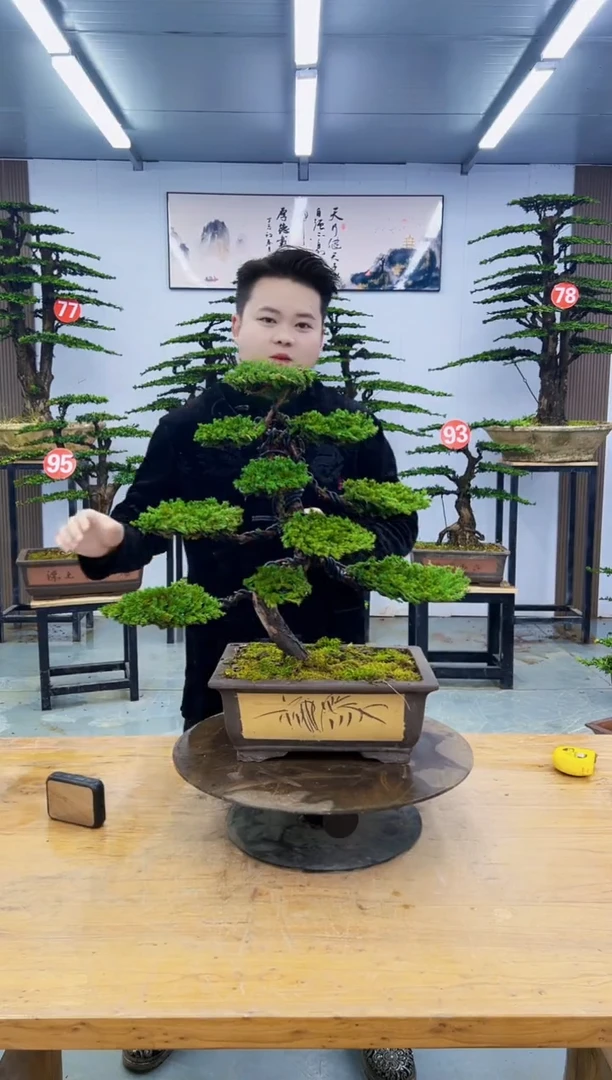 以实际为准树*00000000