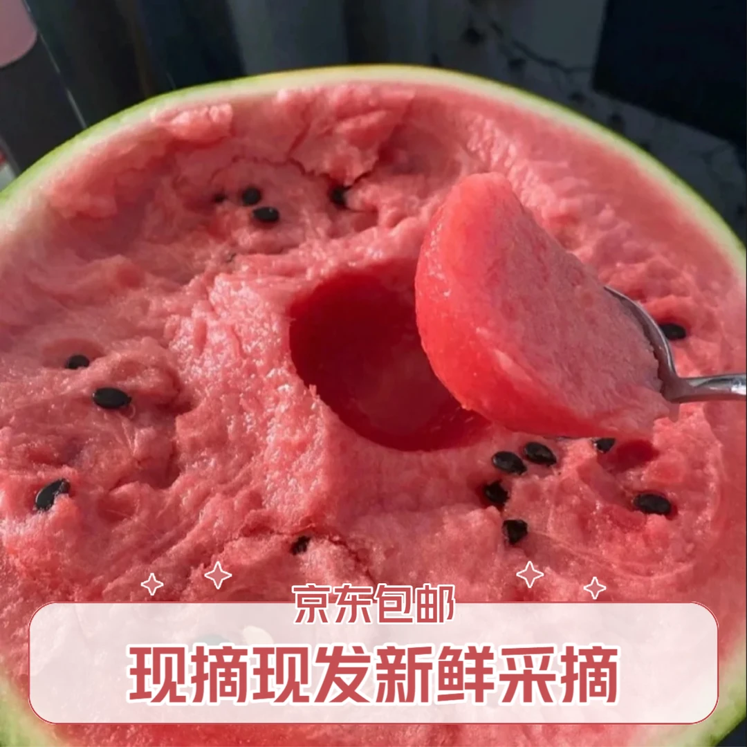 【精品8424西瓜】上海本地精品8424西瓜 黑籽 新鲜采摘现摘现发西瓜同城送上海市