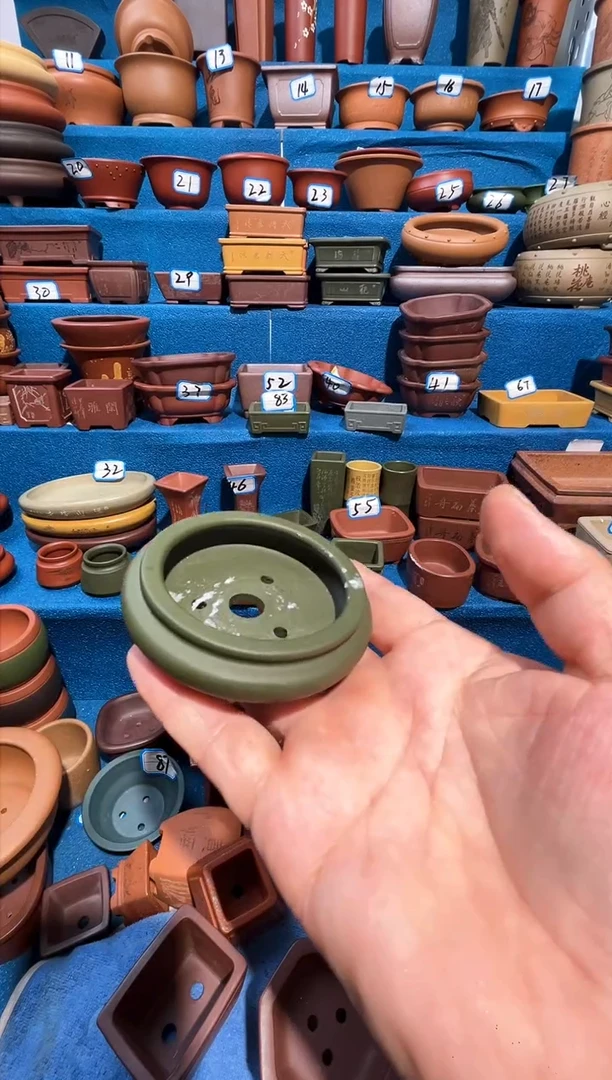 【闪购商品】紫砂紫砂花盆6*1.7