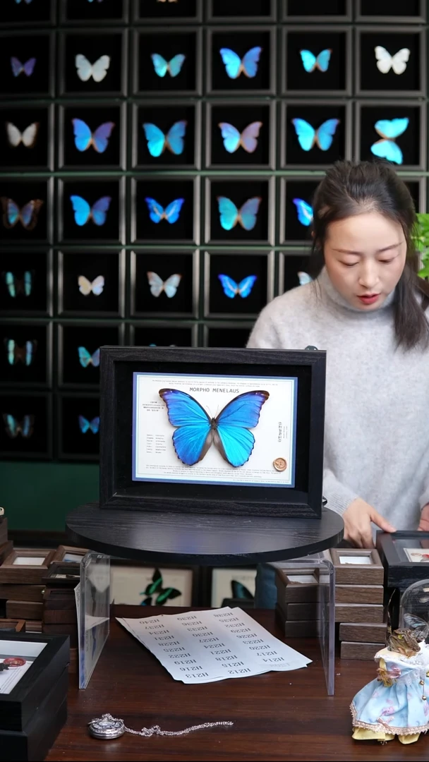 大蓝闪蝶新版本A4横版（带证书）