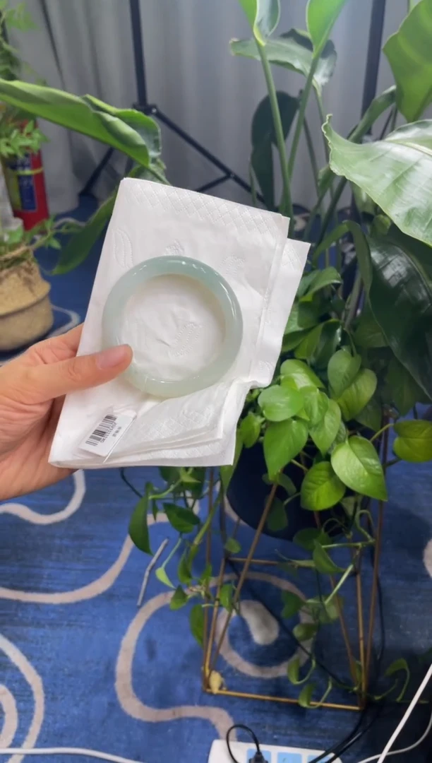 未镶嵌手镯翡翠6733****