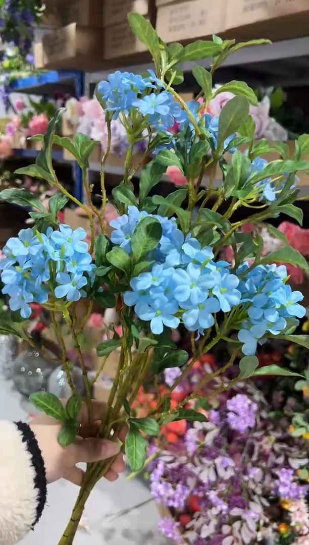 3枝蓝色蓝雾花