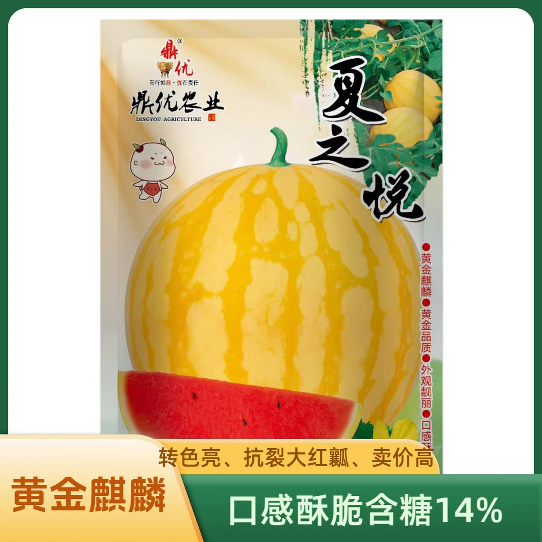 黄金麒麟（夏之悦）口感酥脆、大红瓤、抗裂强好座果西瓜种子寻梦水果