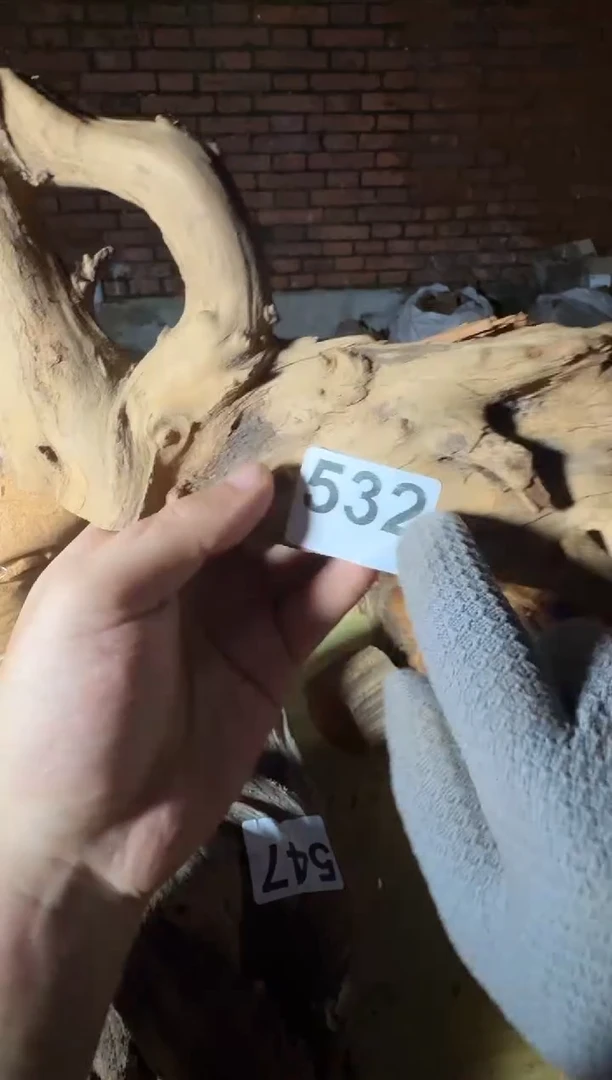 柏木（崖柏）太行陈化崖柏现切先拍！卡 随机一片！（1单1片）532