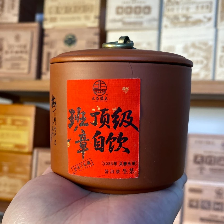 云茶盟主2023年【班章自饮】古树纯料龙珠!普洱茶!生茶!