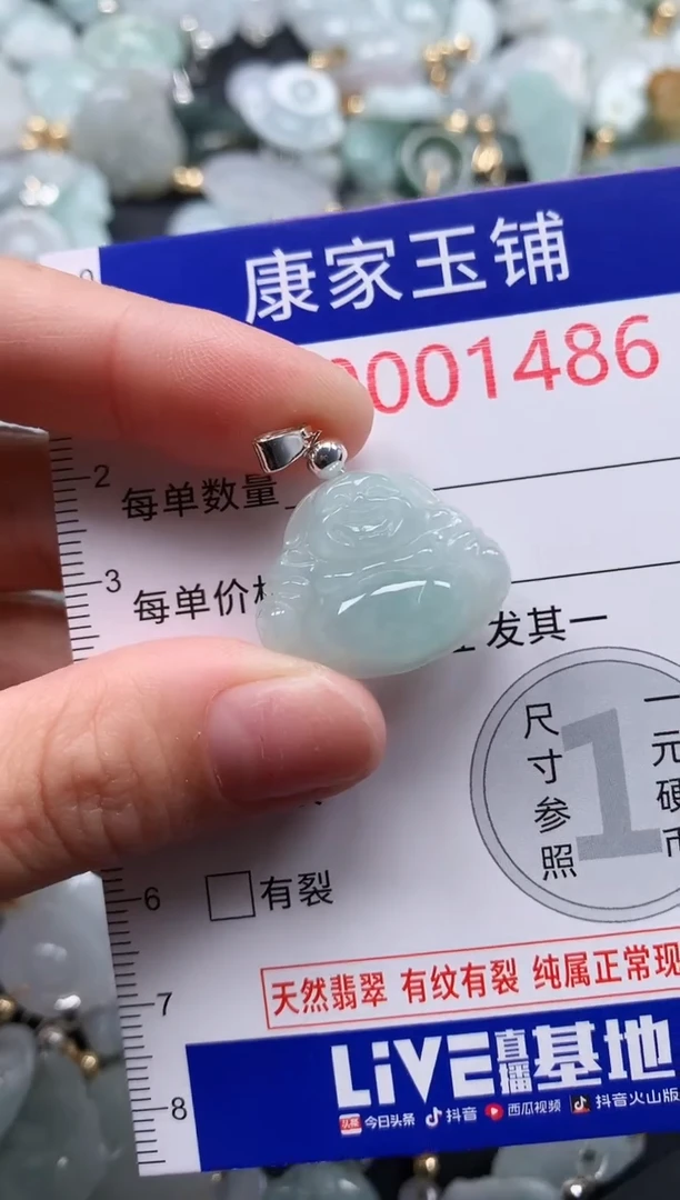 翡翠未镶嵌吊坠(不含链)1486