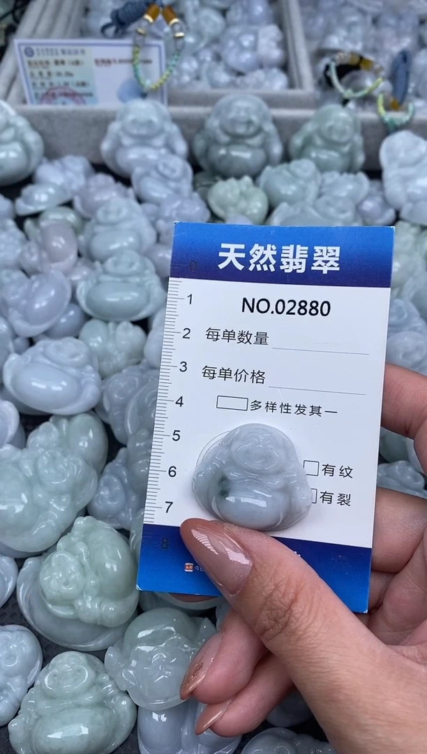 颈饰未镶嵌翡翠纯天然A货翡翠2880