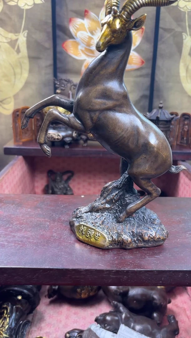 信德铜专属精选链接