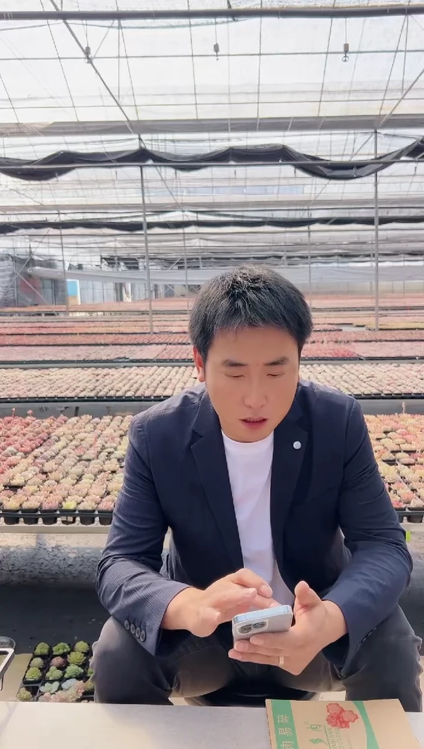 【闪购商品】福利多肉-601