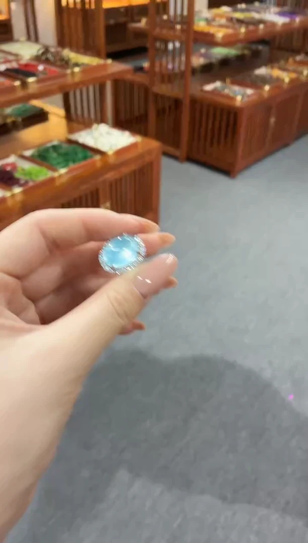 【慧慧甄选】高端轻奢多样性发货LX3638S