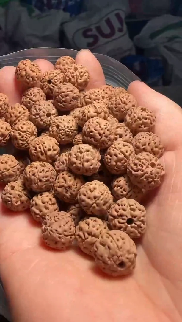 手串金刚菩提非全品老树王散籽12-13mm一份一百颗
