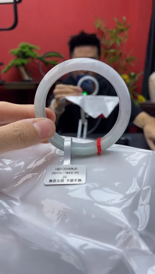 未镶嵌手镯翡翠4