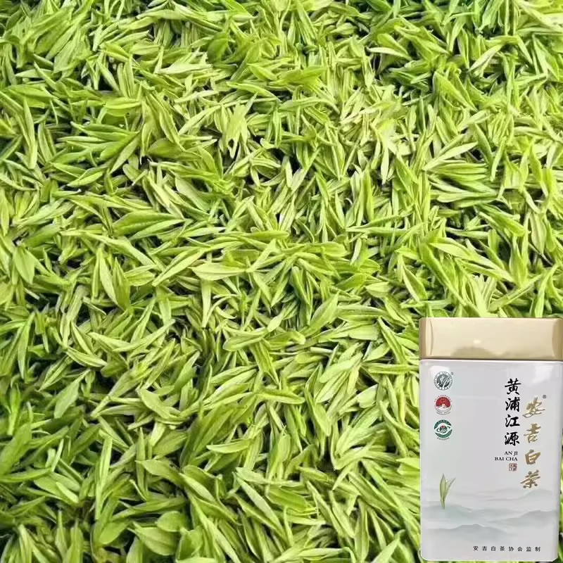 一级 安吉白茶2025新茶春茶明前豆香兰花香珍惜高山绿茶叶