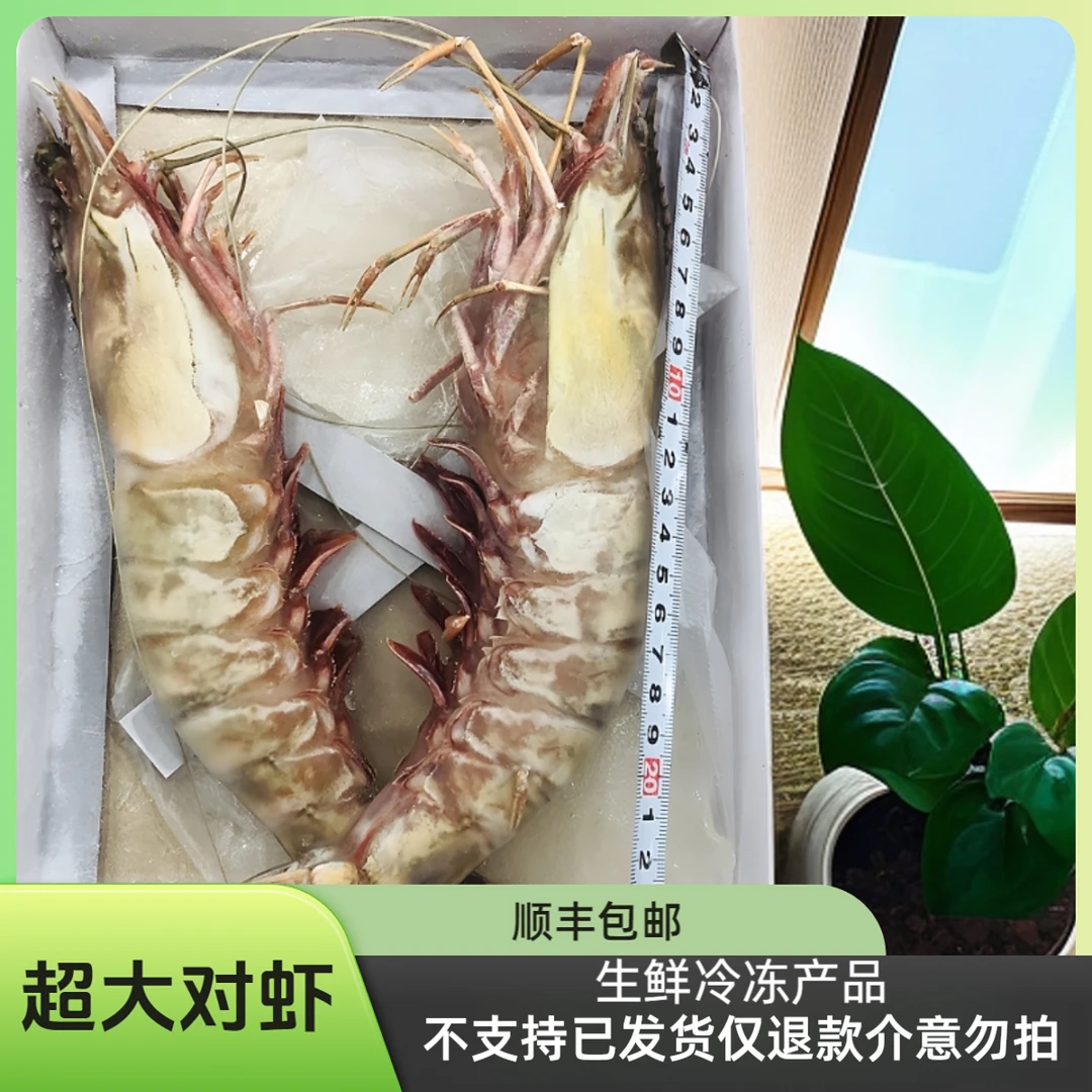 【船长生鲜】超大对虾鲜嫩肥美船长亲自发货品质有保障