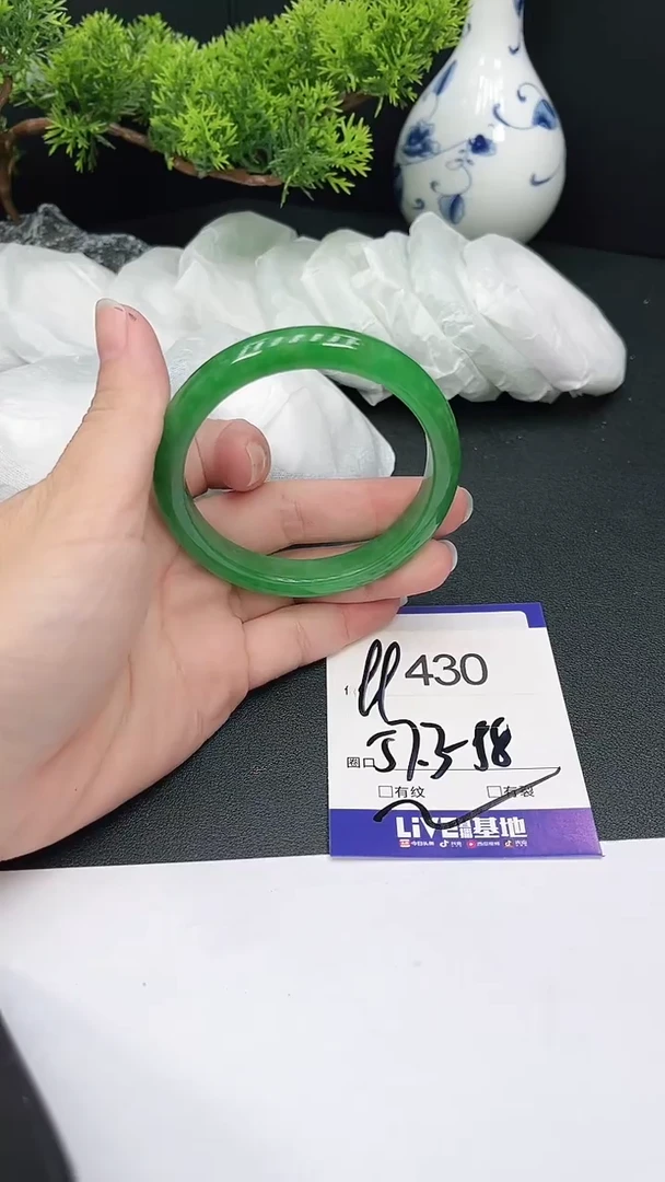 未镶嵌手镯翡翠430