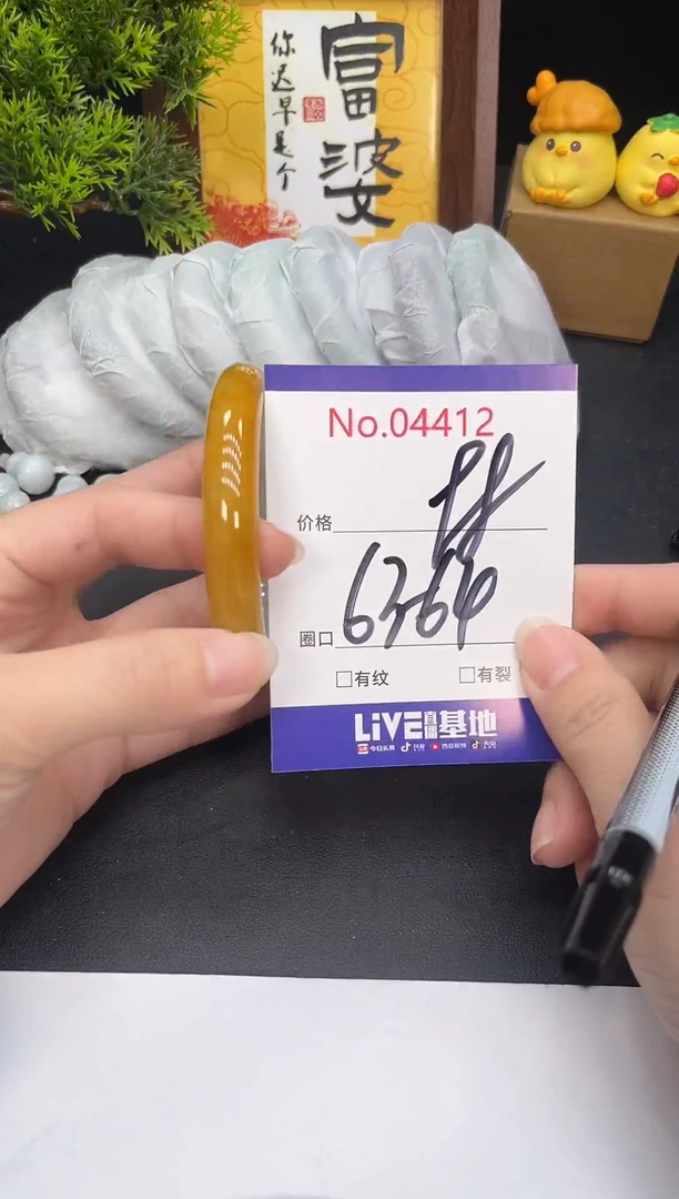 未镶嵌手镯翡翠4412