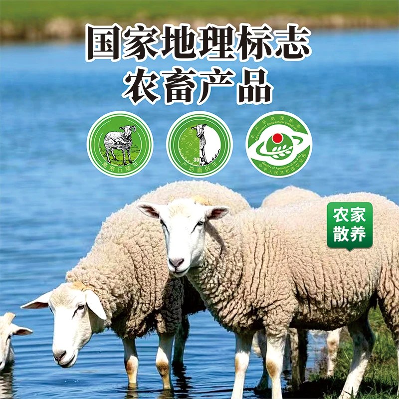 塞尚香 右玉散养羔羊肉 羊腩肉500g/袋  烧烤 清炖 盐煎