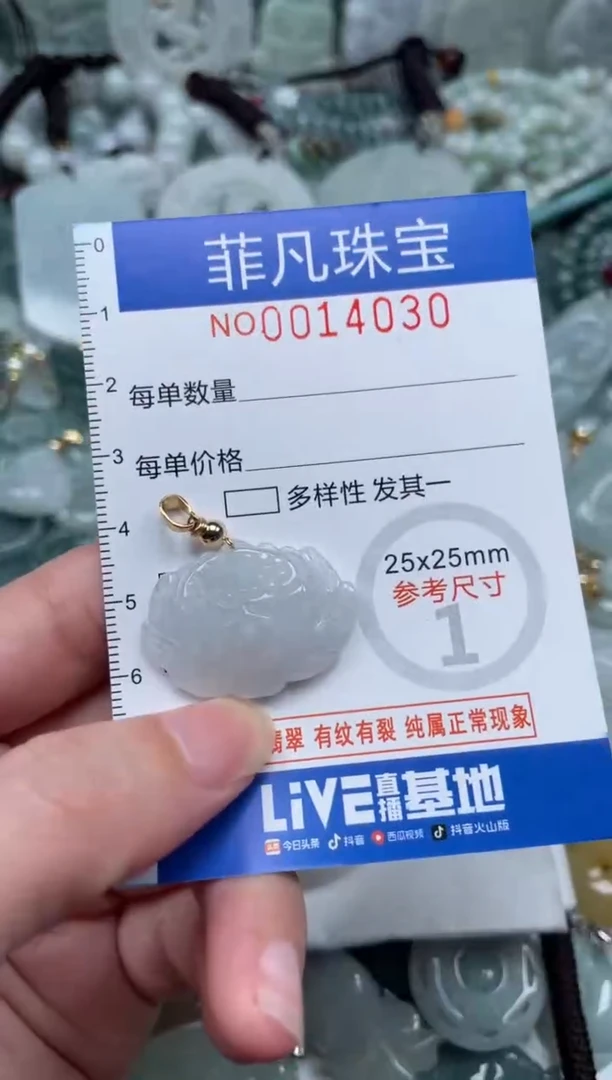 颈饰未镶嵌翡翠14030