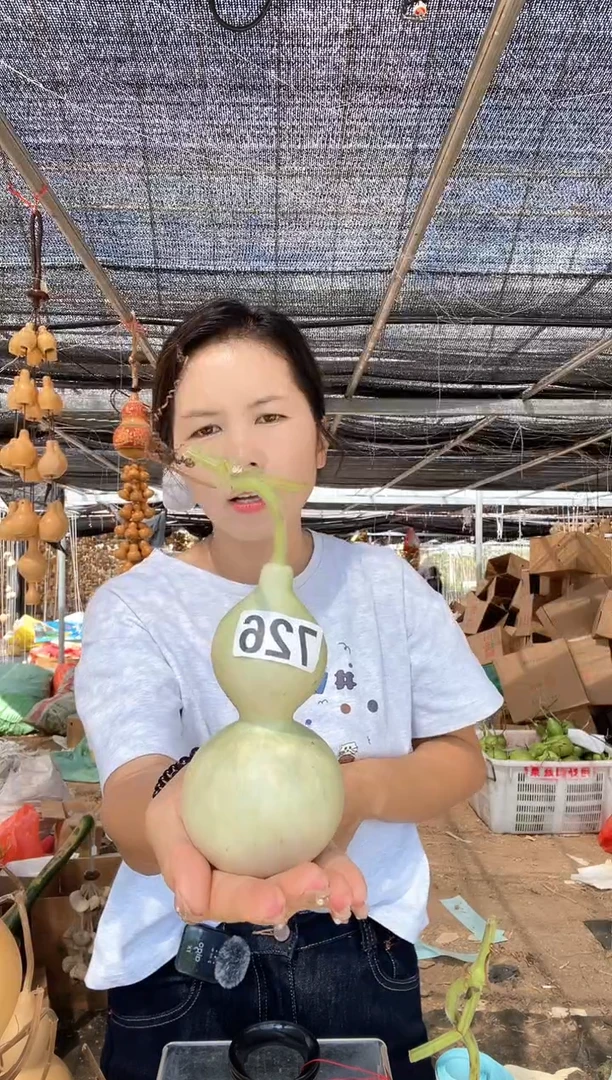 726天然葫芦摆件 一物一拍龙头不保售后