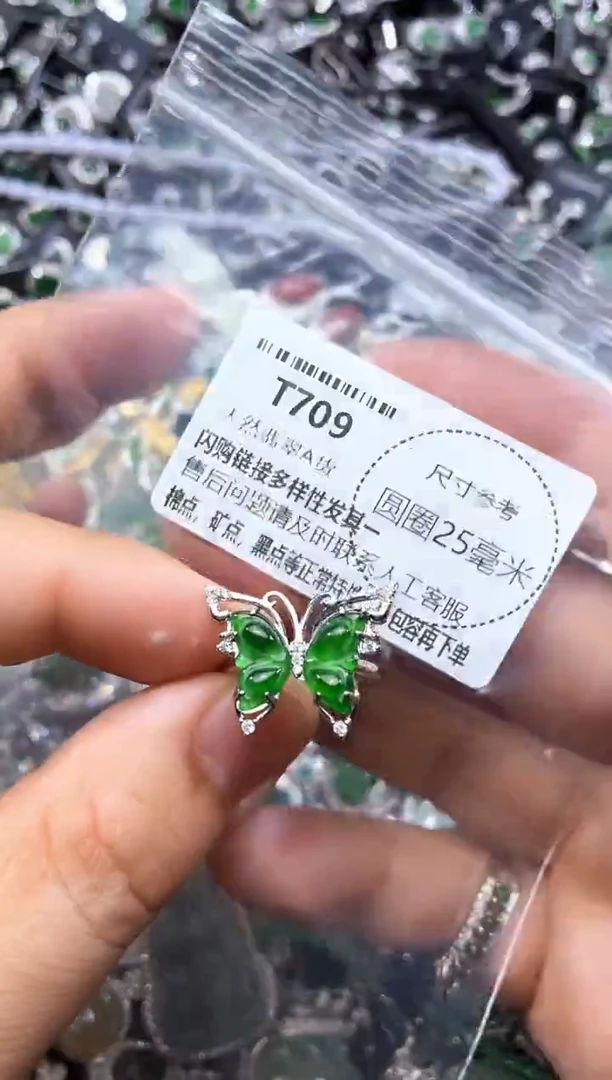 翡翠未镶嵌颈饰T709戒指