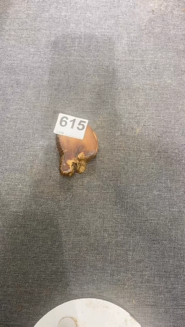 柏木（崖柏）༺****༻太行山陈化崖柏切片一块（津诚林）