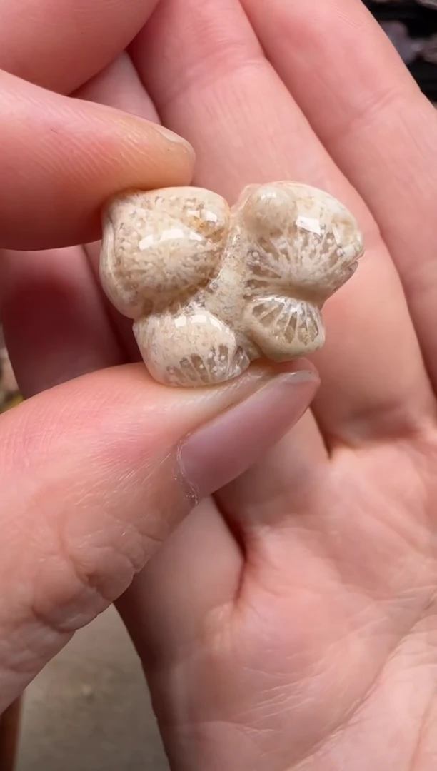 硅化珊瑚（珊瑚玉）未镶嵌颈饰631