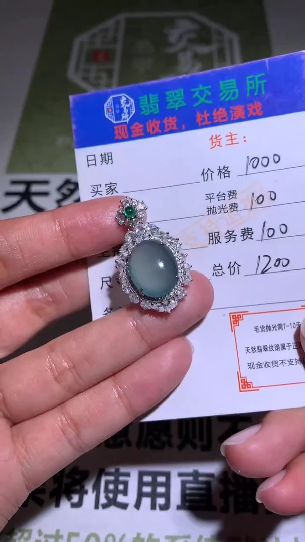 【闪购商品】翡翠颈饰银S925镶嵌-净货