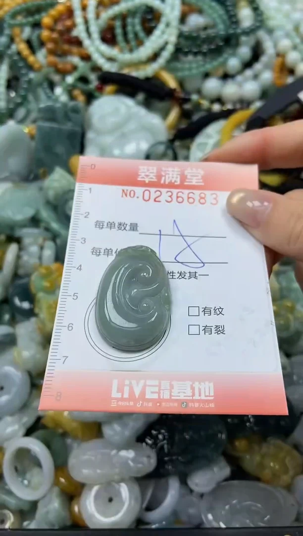 未镶嵌挂件翡翠闪购0236683