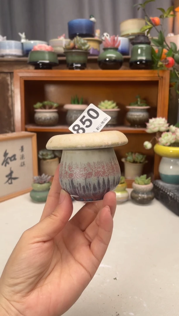 瓷片850知木小芳花盆