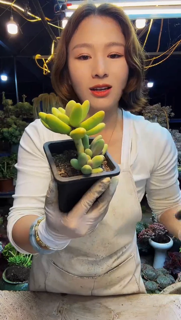 精控糖果美人拍一发三