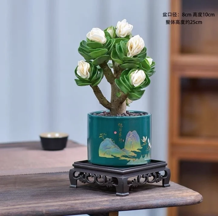 金钱木老桩盆栽多肉植物室内花卉客厅桌面招财旺宅绿植盆景懒人款