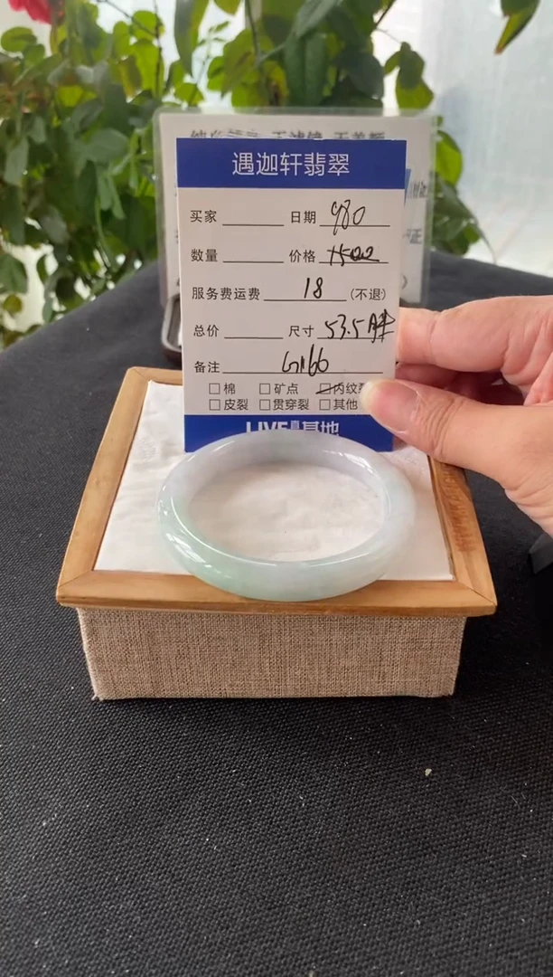 未镶嵌手镯翡翠53.5圈口 G166编码